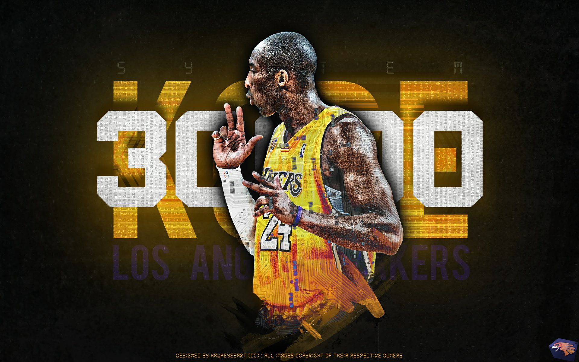 国家在内的 国家在内的